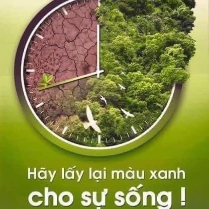 Chế Phẩm Ssinh Học E.M5+3 - Ảnh 7