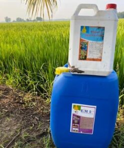 Phân Đạm Cá Nguyên Chất