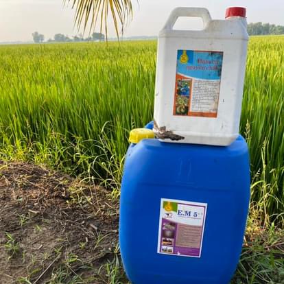 Phân Đạm Cá Nguyên Chất