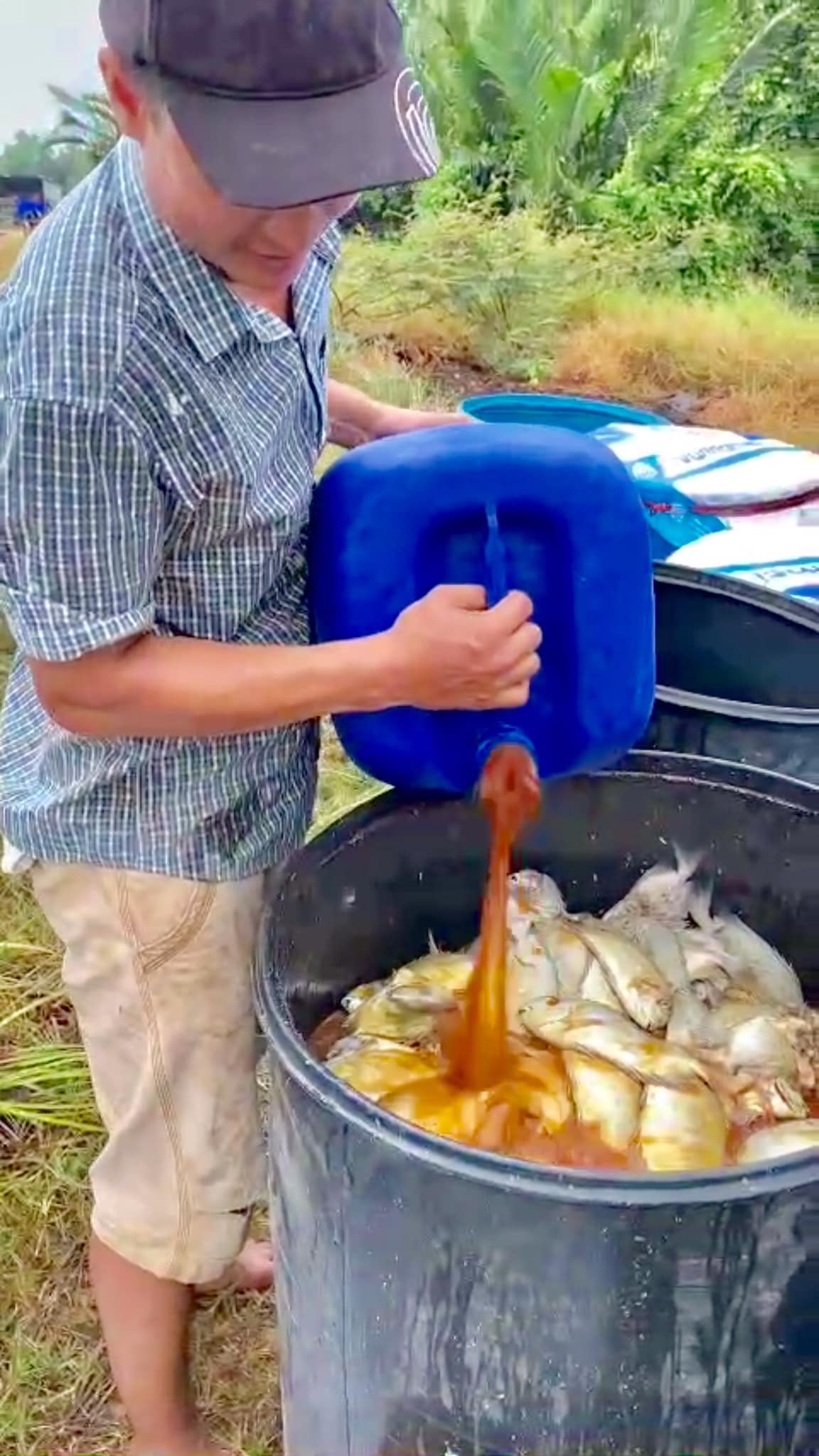 Chế Phẩm Ssinh Học E.M5+3 - Ảnh 4