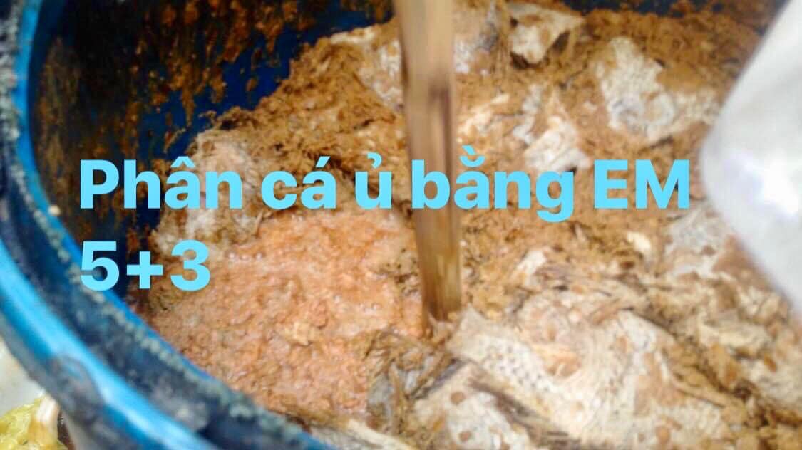 Chế Phẩm Ssinh Học E.M5+3 - Ảnh 5